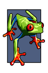 Isolated cartoon red eye tree frog illustration.
