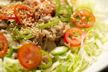 Salad with Stir-Fried Meat