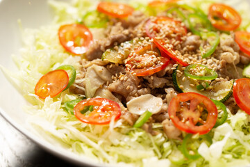Salad with Stir-Fried Meat