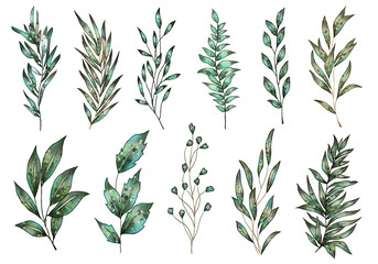 Fototapeta premium set collection of leaves with detailed colors, textures and several different colors