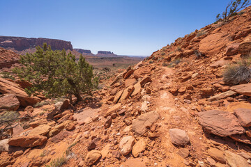 hiking the murphy trail loop in the island in the sky in canyonlands national park, usa
