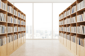 Two rows of bookcases in public library with panoramic window