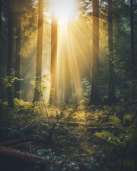 Fototapeta premium Silent Forest in spring with beautiful bright sun rays. Generative AI