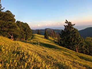 Sunset mood on the Schneelhorn. Highest point in the canton of Zurich. spring mood, Wanderlust. High quality photo