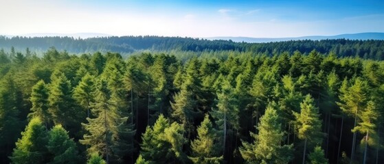 Aerial top view of green trees in forest. Pine forest of lush trees. Generative AI