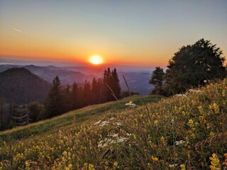 Sunset mood on the Schneelhorn. Highest point in the canton of Zurich. spring mood, Wanderlust. High quality photo