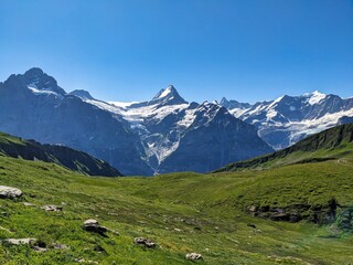 Fototapeta na wymiar Nice view above grindelwald towards fischerhhorn schreckhorn and eiger. Hiking from First to Faulhron. High quality photo