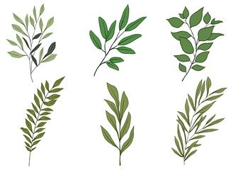 Obraz premium Botanical collection set with basic colors only without details and several different colors