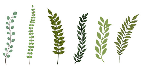 Botanical collection set with basic colors only without details and several different colors