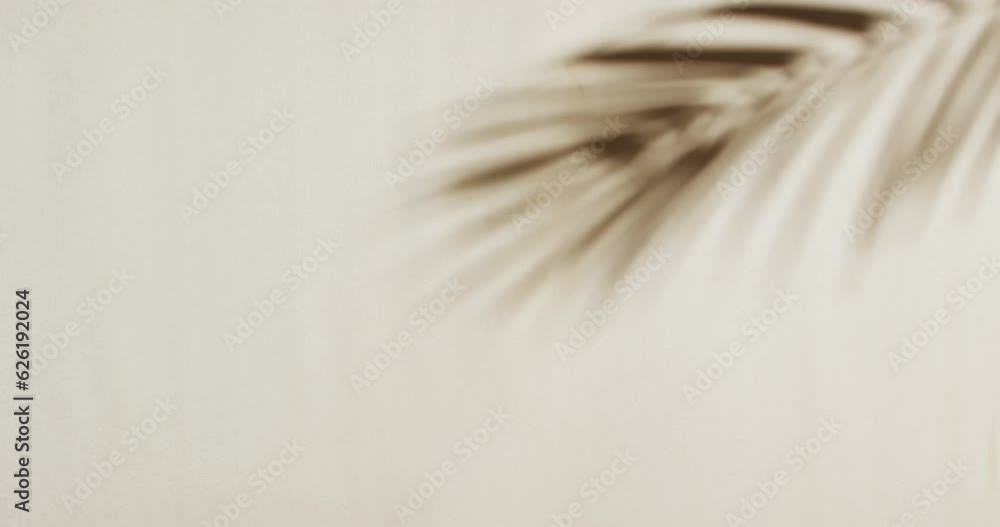 Poster animation of shadow of palm tree leaf moving with copy space over white background