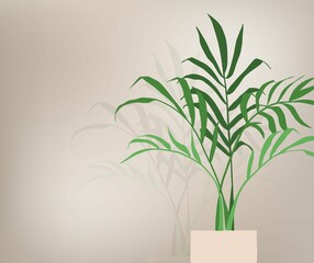 pine leaves background with cream