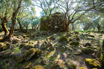 Nuraghe Santa Cristina - Sardinia - Italy