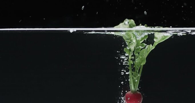 Video of radish falling into water with copy space on black background