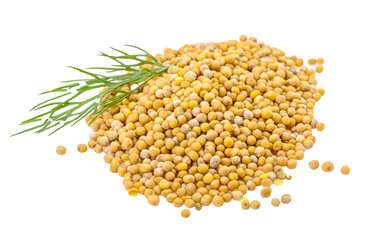Mustard seeds heap