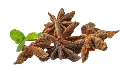 Star-anise