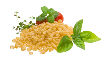 Raw macaroni