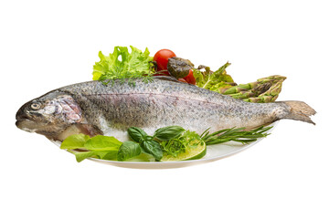 Fresh raw rainbow trout