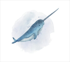narwahl fish watercolor illustration © Yuni