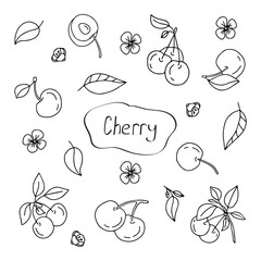 Hand drawn vector set cherry. Isolated, on a white background