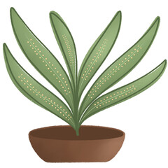 Potted Ferns for a Cozy Café