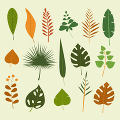 Set of tropical plants vector. Flat and colorful design