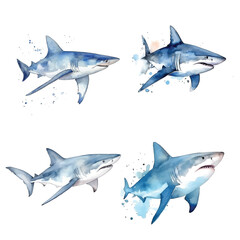 Obraz premium Shark watercolor paint collection