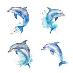 Dolphin watercolor paint collection