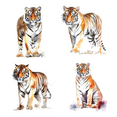 Obraz premium Tiger watercolor paint collection