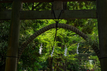 東京赤坂にある氷川神社の茅の輪