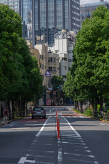 Fototapeta na wymiar 東京の赤坂9丁目の直線の道路