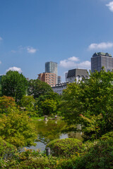 Obraz na płótnie Canvas 東京ミッドタウンから望む緑豊かな都市風景