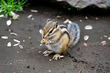 上手くつかめた♪