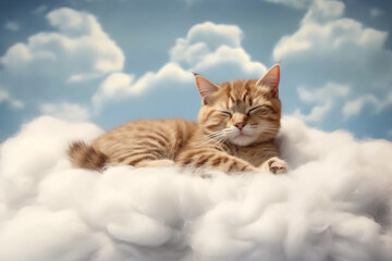 A heartwarming and adorable photography of a cute cat peacefully sleeping on a fluffy cloud, radiating pure serenity and comfort. Ai generated