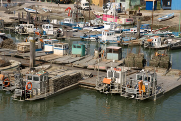 Huitre, ostrea edulis, Port ostreicole, Le Chateau d'Oléron, Ile d'Oléron, 17, Charente Maritime, France