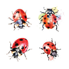 Fototapeta premium Ladybug watercolor paint collection