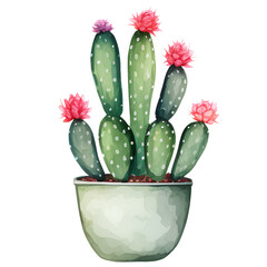 Big group green cactus on green pot illustration