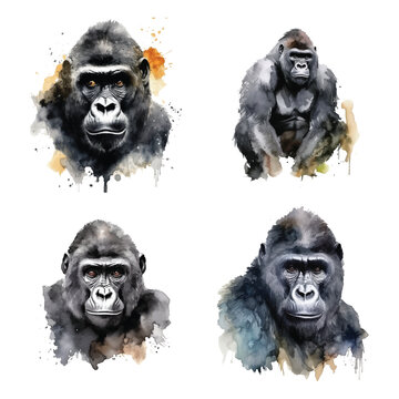 Gorilla watercolor paint collection