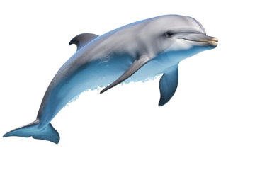 Cute dolphin jumping isolated on white background. PNG. Generative AI