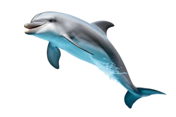 Tuinposter Cute dolphin jumping isolated on white background. PNG. Generative AI © uv_group