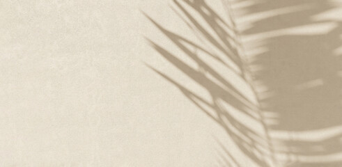Close up of stucco beige cream cement wall, beautiful sunlight, tropical palm tree leaf foliage shadow. Luxury beauty, fashion, cosmetic, skincare, interior design decoration material background 3D