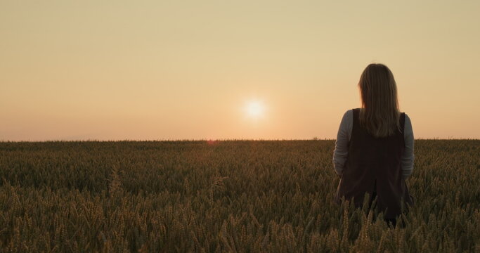 Silhouette of a farmer woman standing in a field of ripe wheat at sunset. Back view