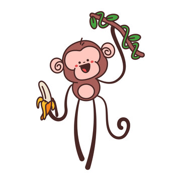 Cute monkey on liana with banana vector cartoon character isolated on a white background.
