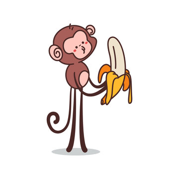 Cute monkey with banana vector cartoon character isolated on a white background.