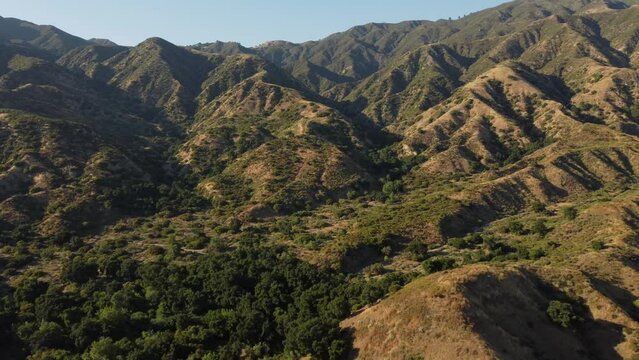 Wilson Canyon Park, San Gabriel Mountains, Sylmar, Los Angeles County