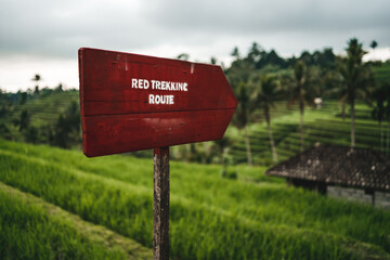 Close up shot of wood red direction arrow with rice terrace background. Trekking route to paddy field, hiking indicator