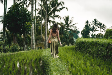 Stylish lady in green sexy dress on footpath rice terrace. Young elegant lady admiring evergreen...