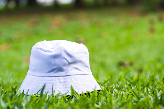 An artfully crafted mockup image portrays a white blank bucket hat in the embrace of nature, offering a versatile visual concept