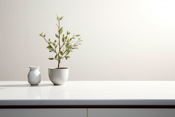 Minimalistic kitchen plant pot shelf. Generate Ai