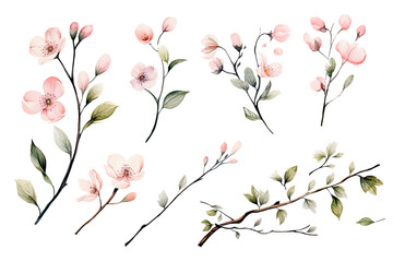 Watercolor of Tropical spring floral green leaves and flowers elements isolated on transparent png background, bouquets greeting or wedding card decoration, with Generative Ai.