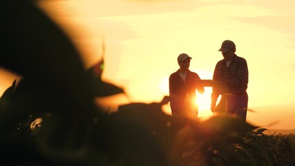 silhouette two farmers work tablet sunset, farming teamwork group people contract handshake...